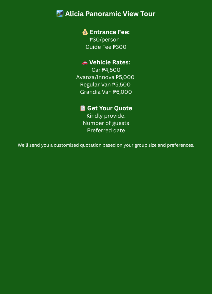 Alicia Panoramic View Tour